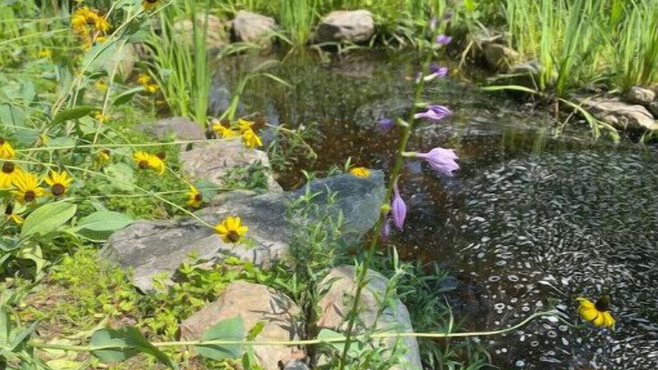 Photo of Outdoor in James Madison