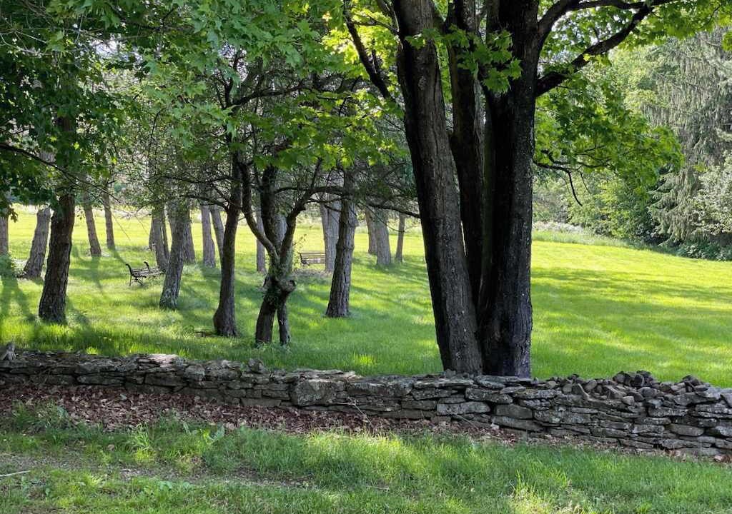 Photo of Outdoor in Jefferson
