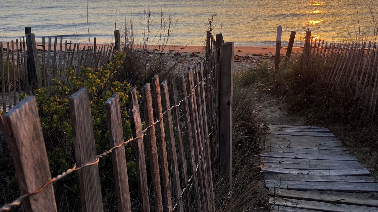 Photo of Others in Prime Hook Beach