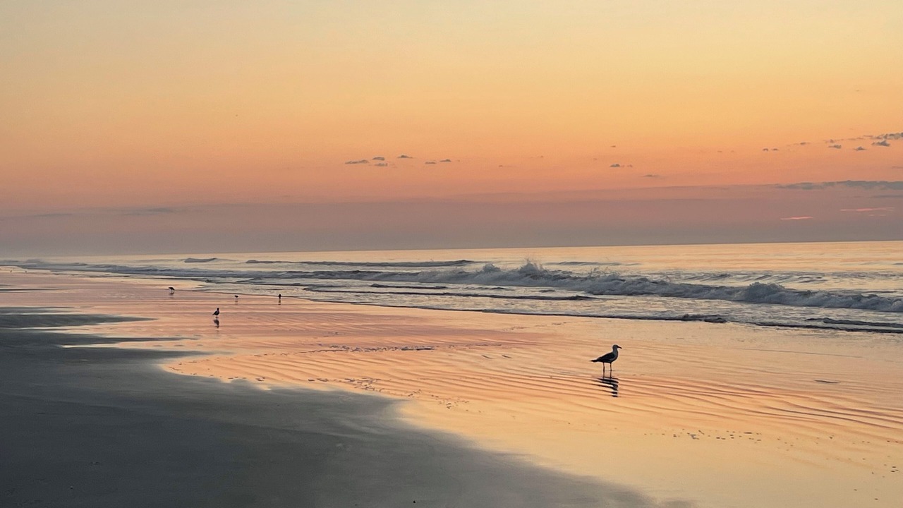 Photo of Others in Stone Harbor