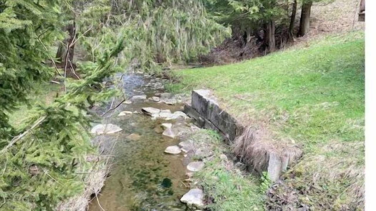 Photo of Outdoor in Ellicottville