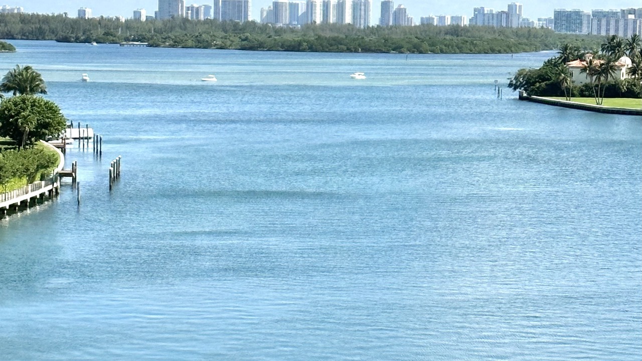 Photo of Others in Bay Harbor Islands