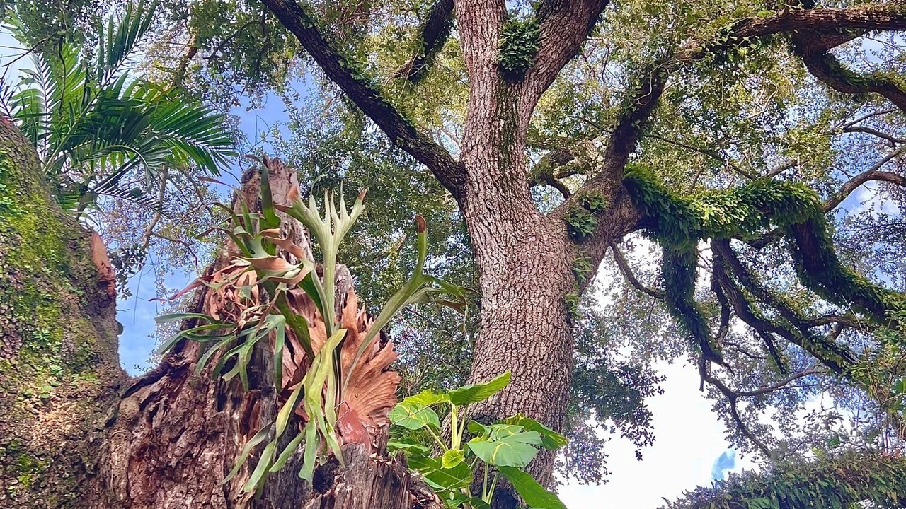 Photo of Outdoor in North Miami