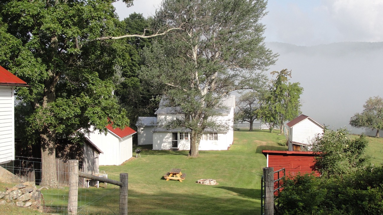 Photo of Outdoor in Blue Grass