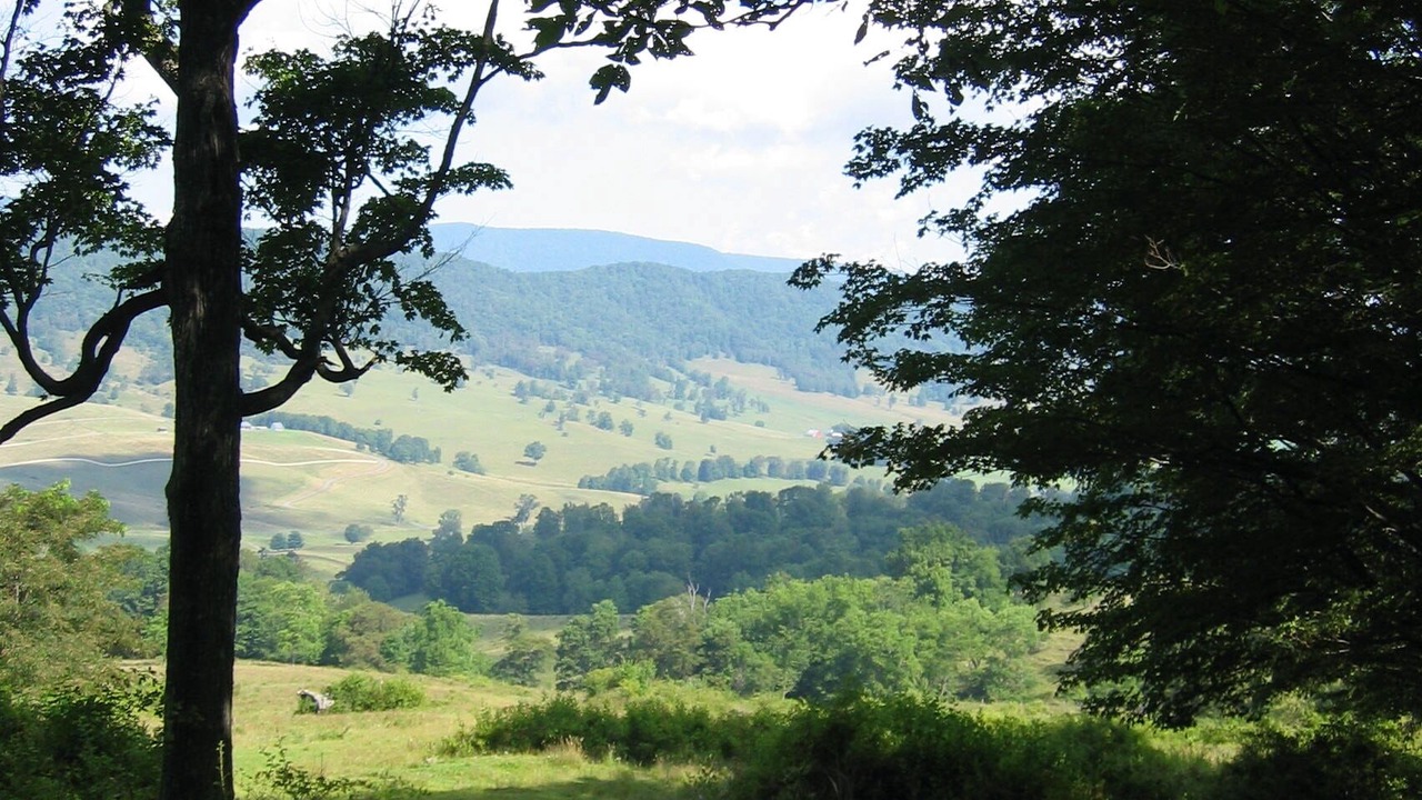 Photo of Outdoor in Blue Grass