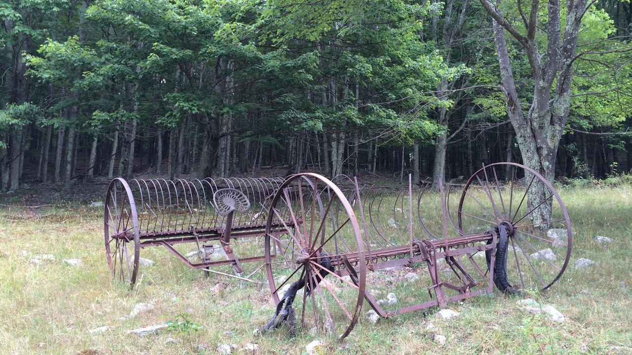 Photo of Outdoor in Blue Grass