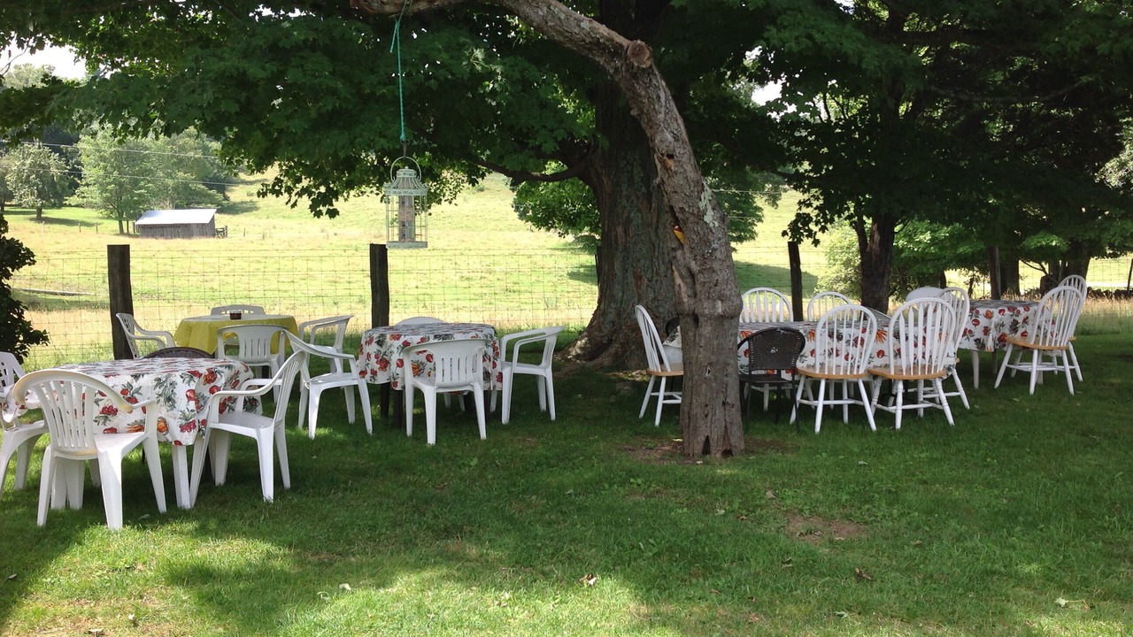 Photo of Outdoor in Blue Grass