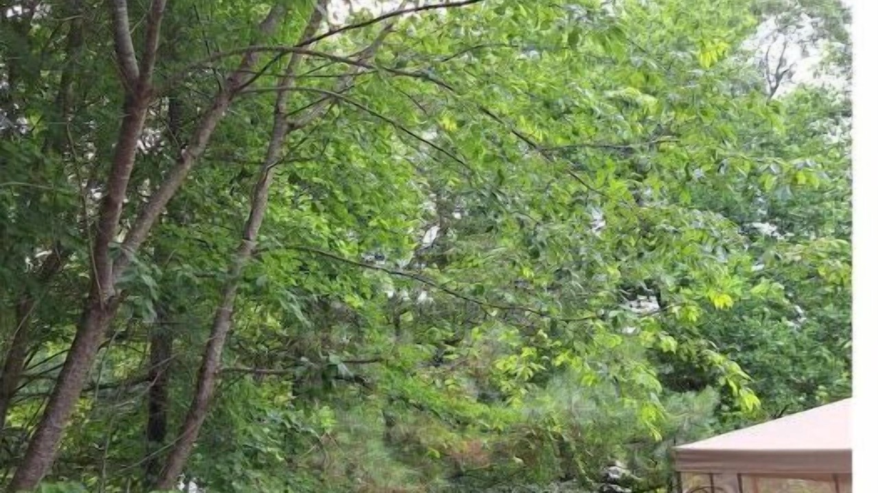 Photo of Others in Chesapeake Ranch Estates-Drum Point