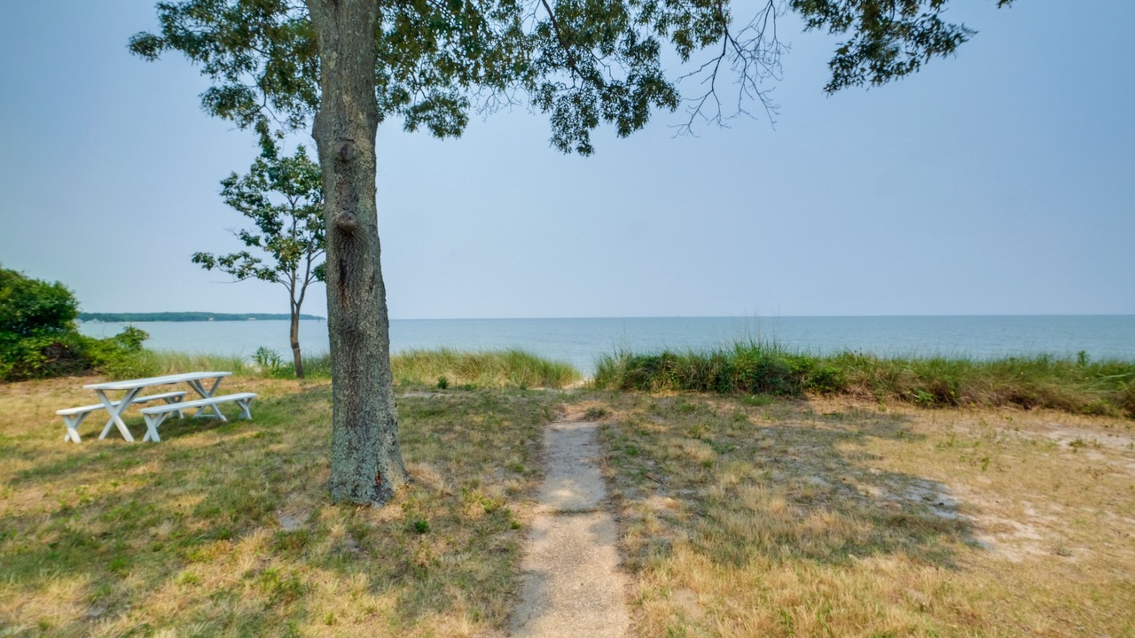 Photo of Outdoor in Ridge