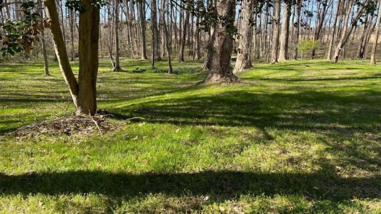 Photo of Others in Sudlersville