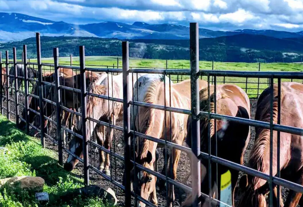 Photo of Outdoor in Browning