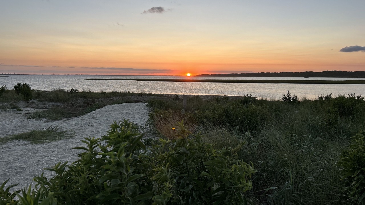 Photo of Others in Chincoteague
