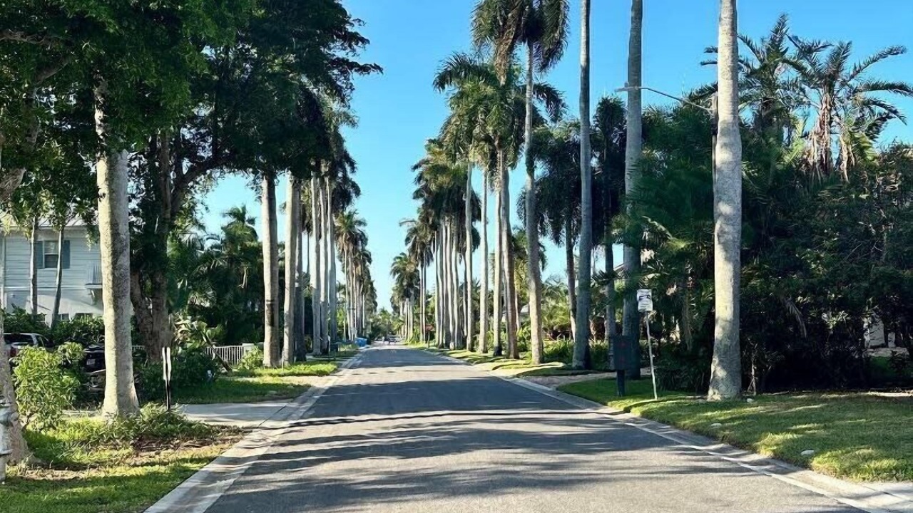 Photo of Others in Delray Beach