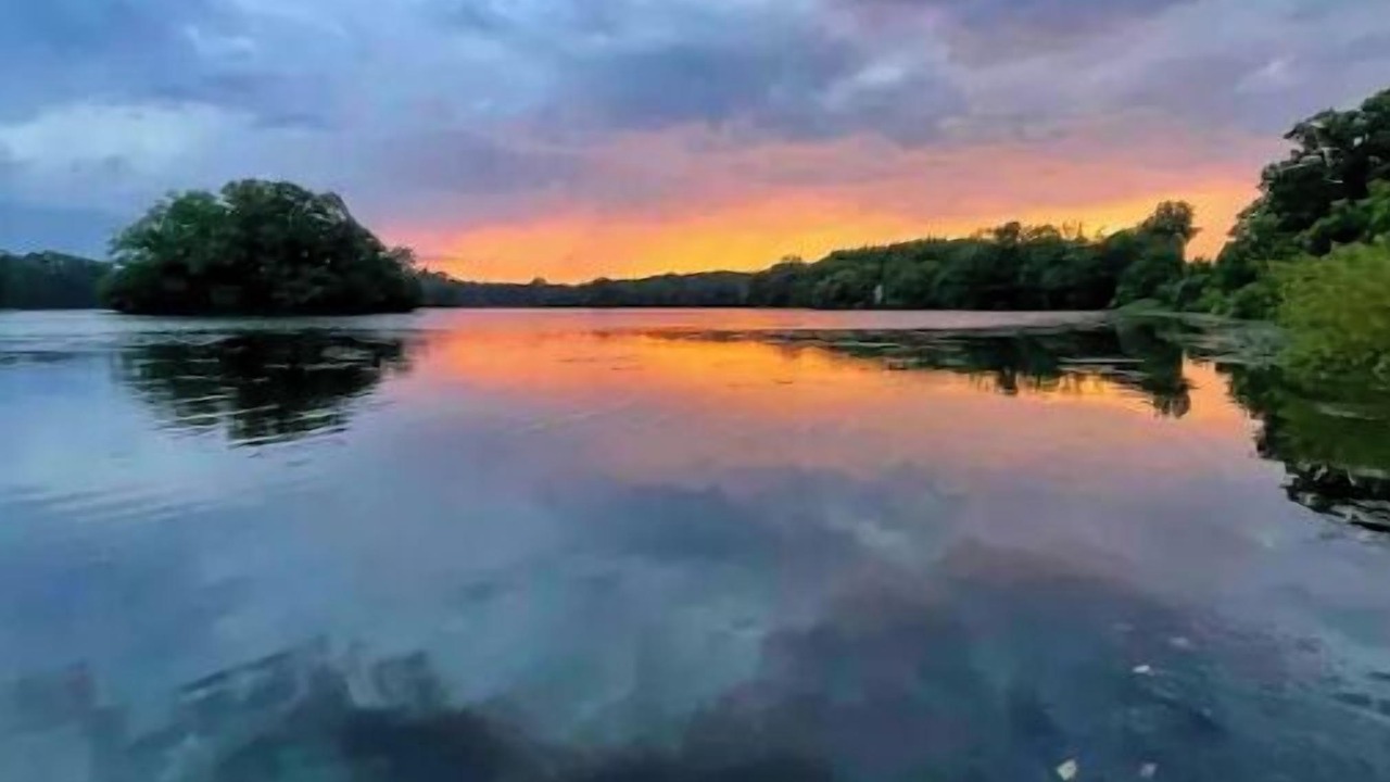 Photo of Others in Millsboro