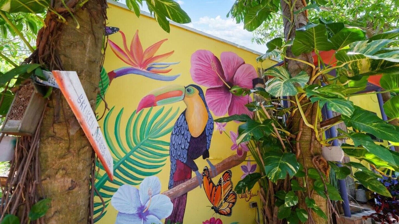 Photo of Outdoor in Delray Beach