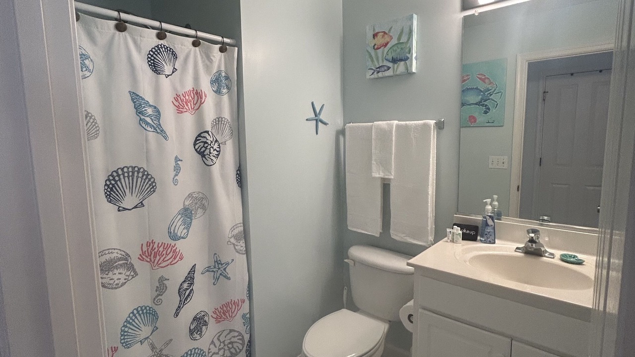 Photo of Bathroom in Selbyville