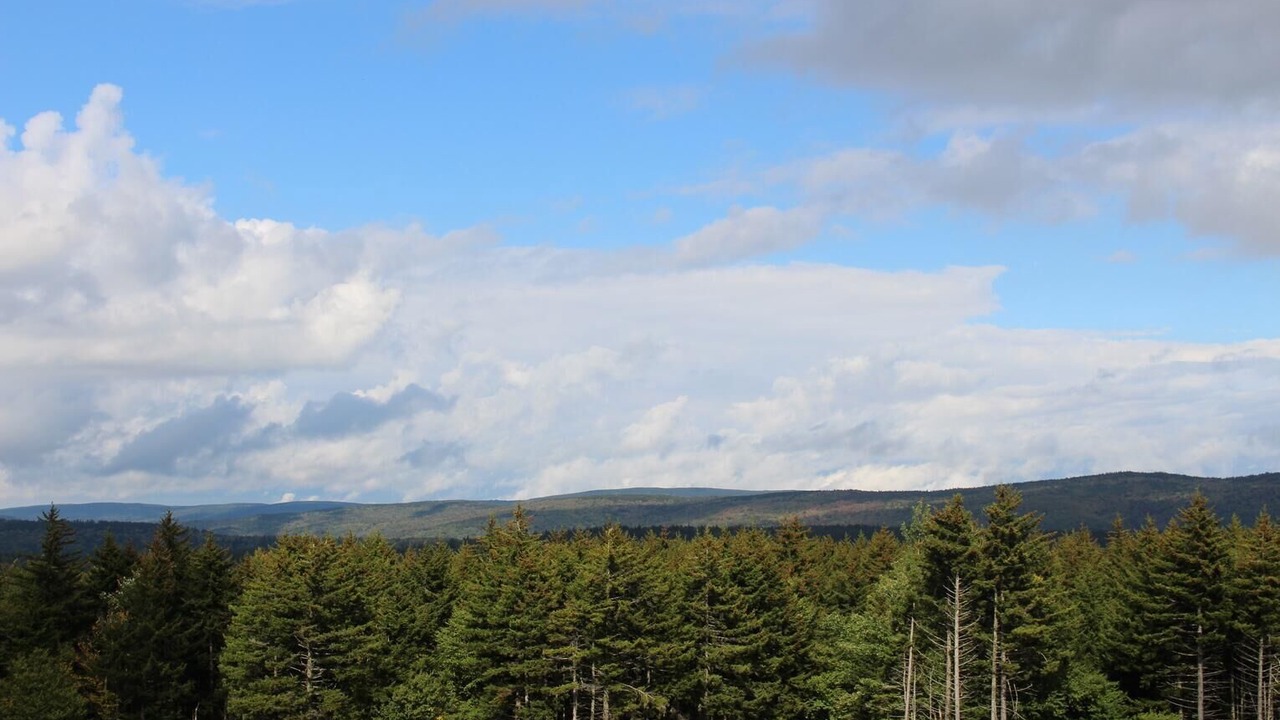 Photo of Others in Snowshoe