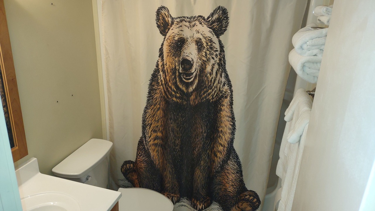 Photo of Bathroom in Snowshoe