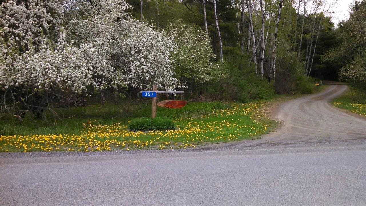 Photo of Others in Milford