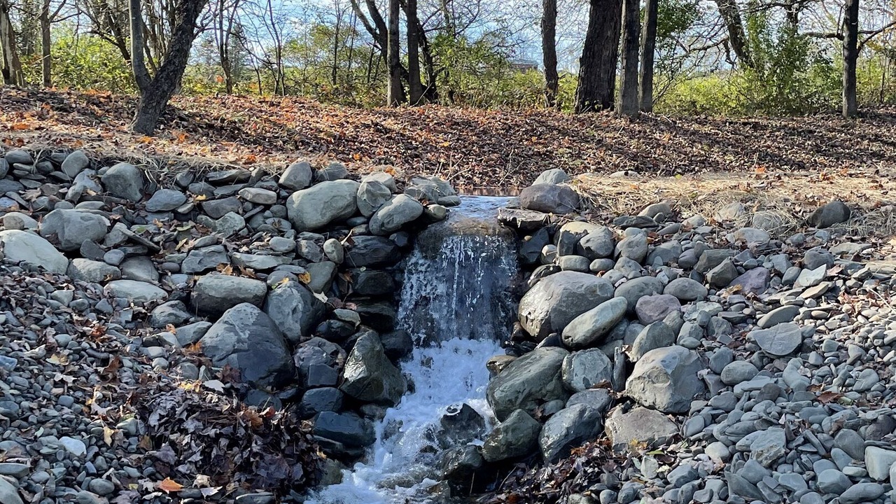 Photo of Others in Milford