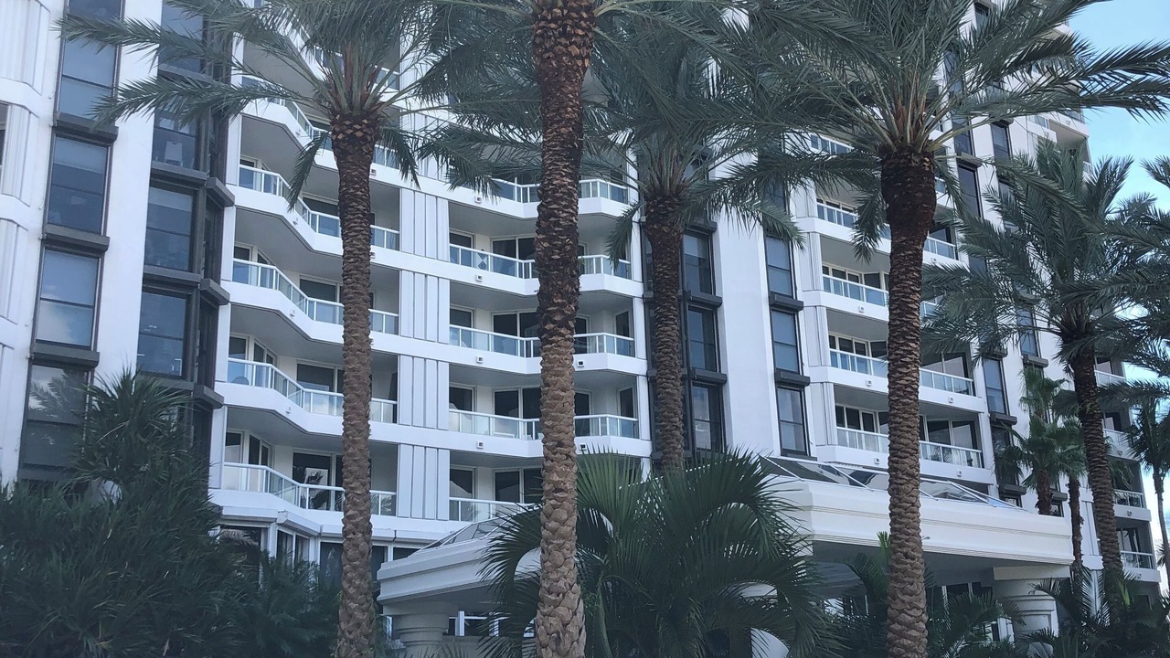 Photo of Outdoor in Aventura