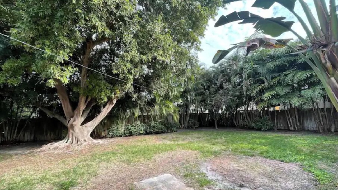 Photo of Outdoor in Middle River Terrace