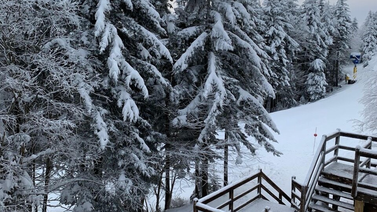 Photo of Patio Balcony in Edray