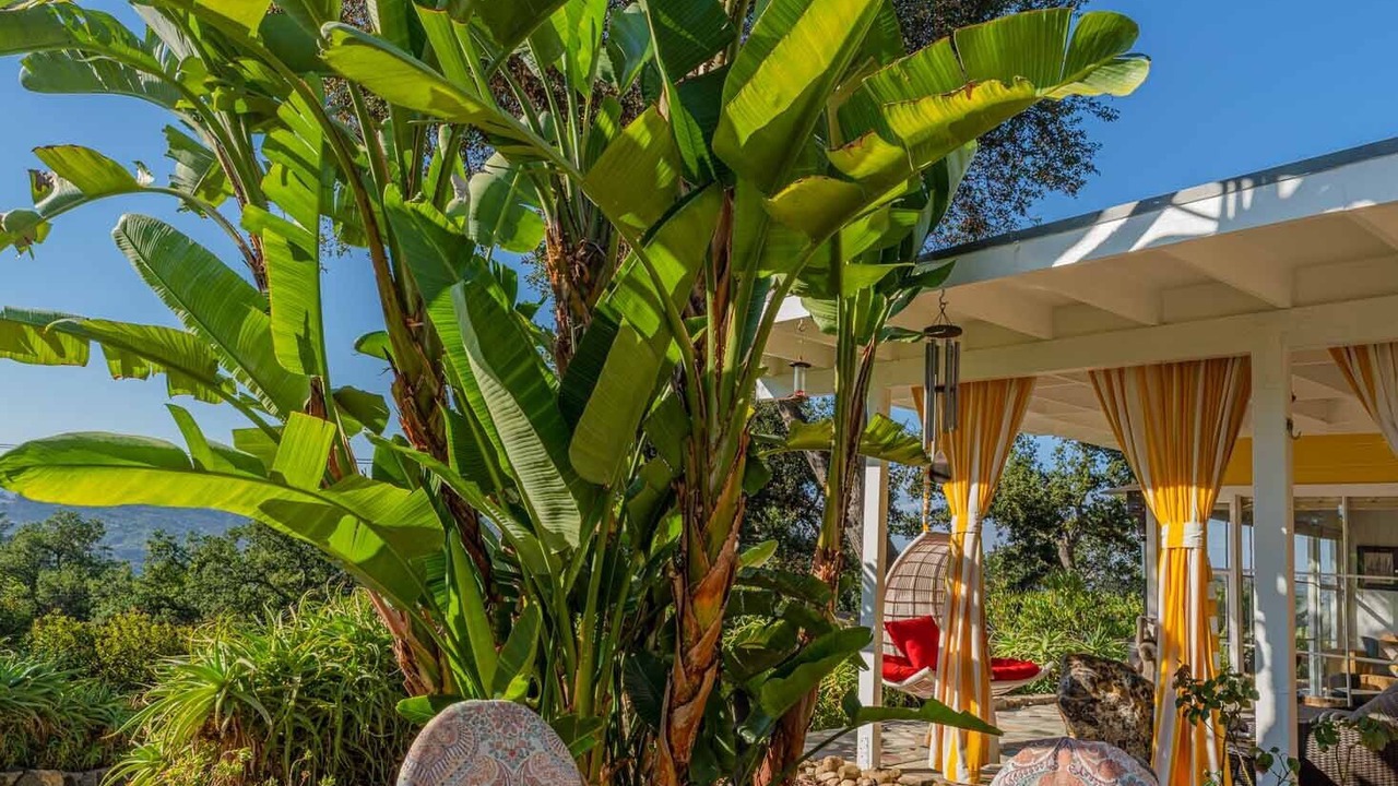 Photo of Outdoor in Topanga