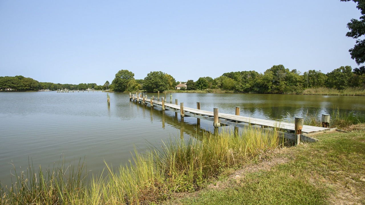 Photo of Outdoor in Unionville