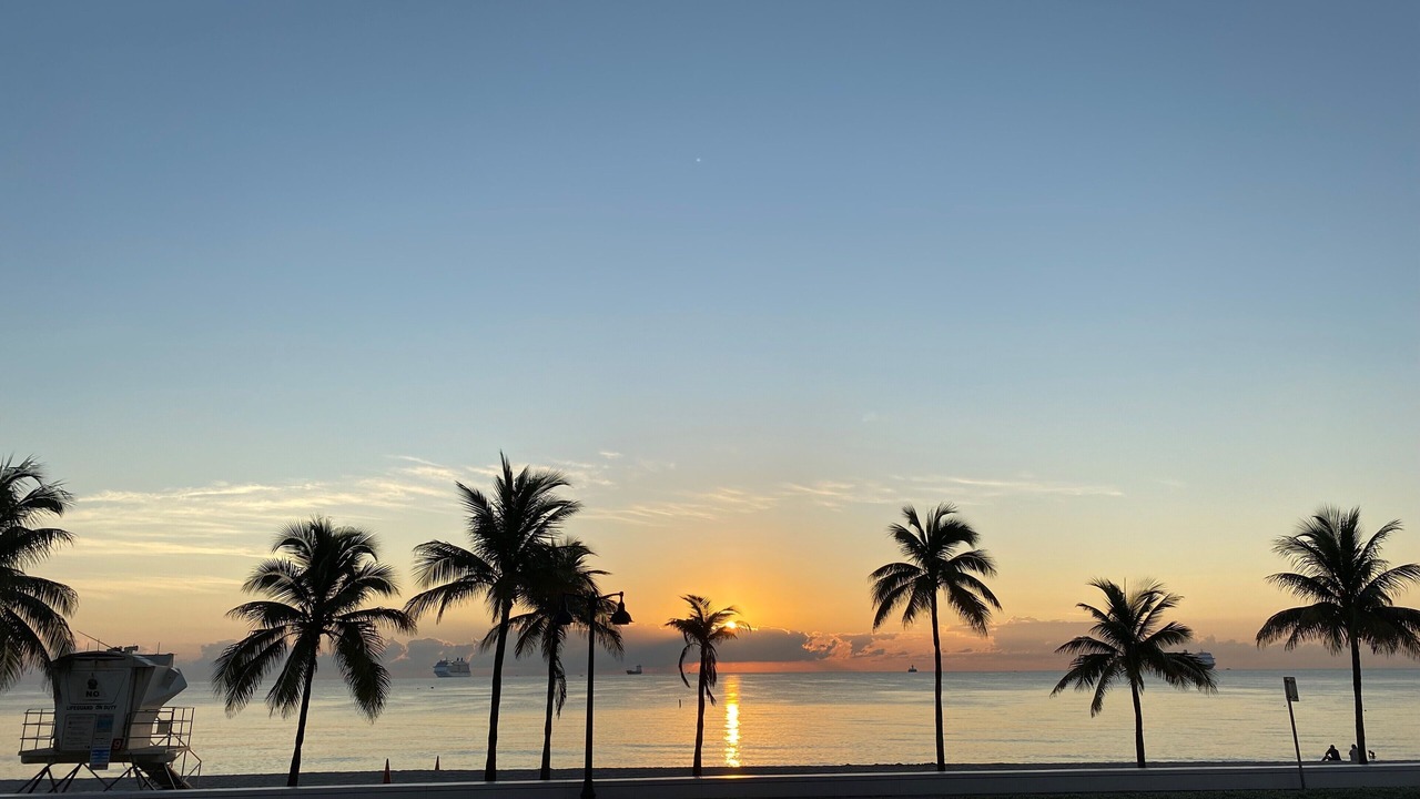 Photo of Others in East Fort Lauderdale