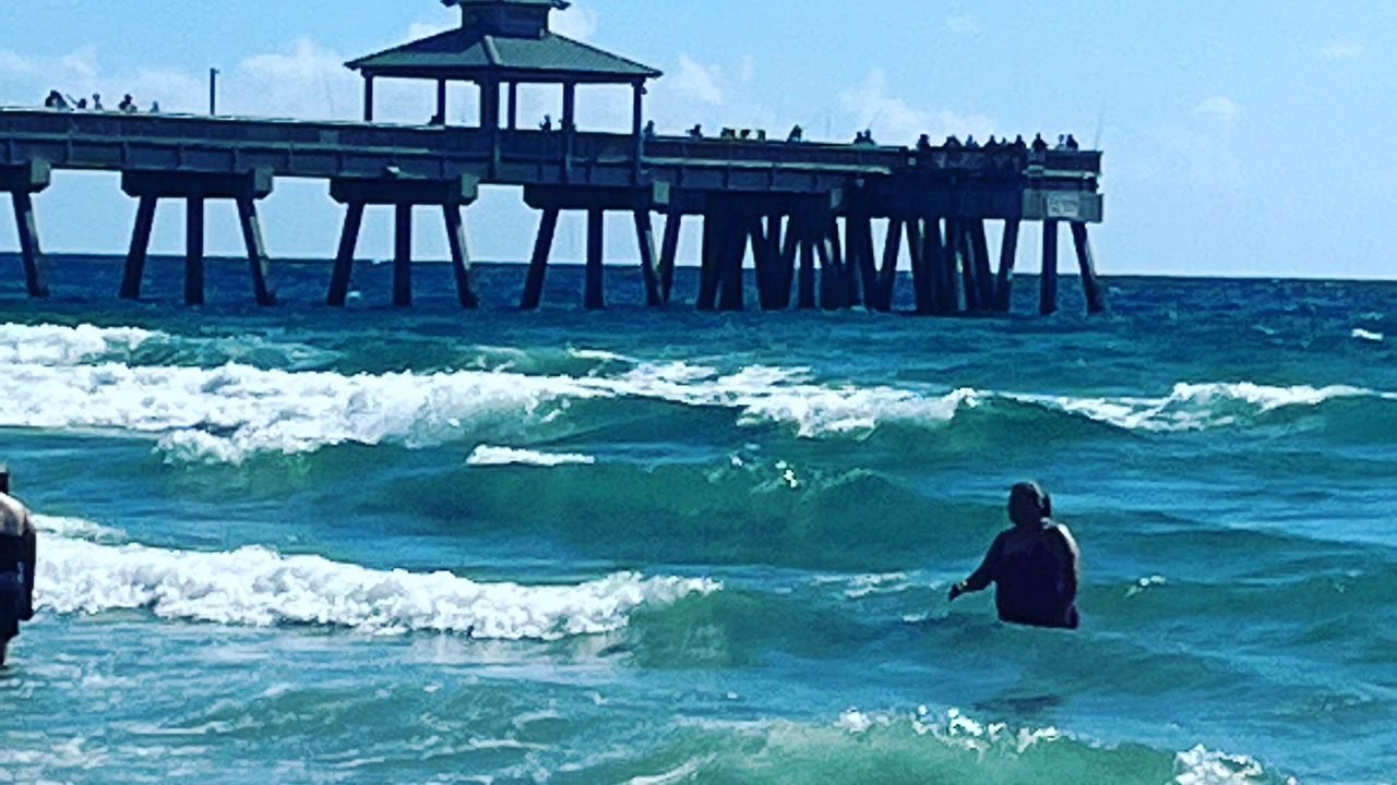 Photo of Others in Lighthouse Point