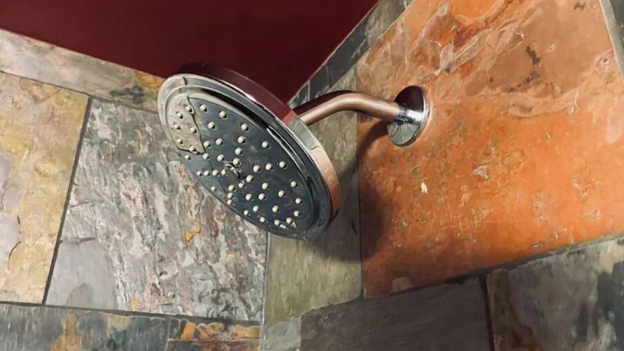 Photo of Bathroom in South Wedge
