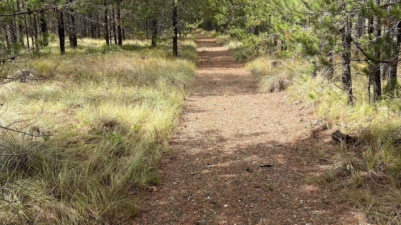 Photo of Outdoor in Marion