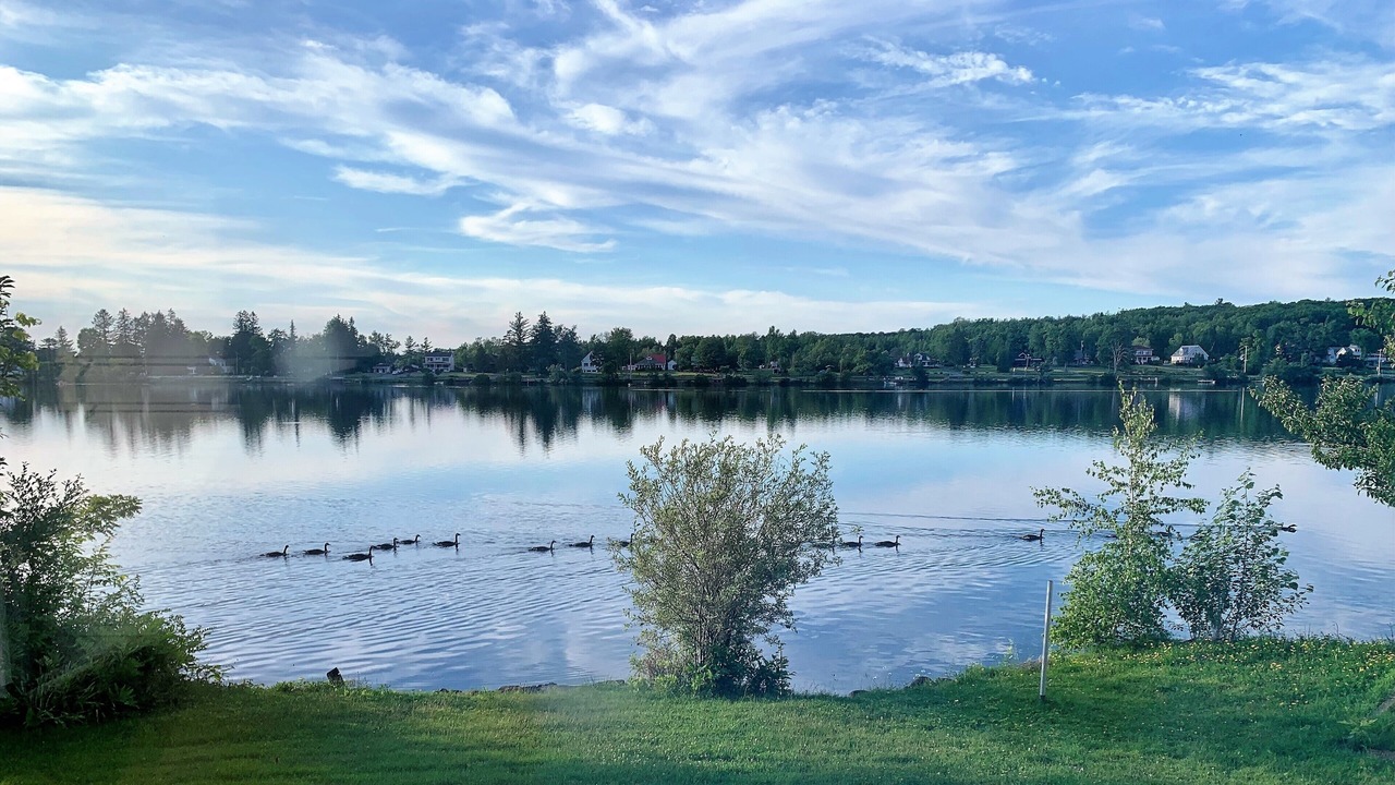 Photo of Others in Mariaville
