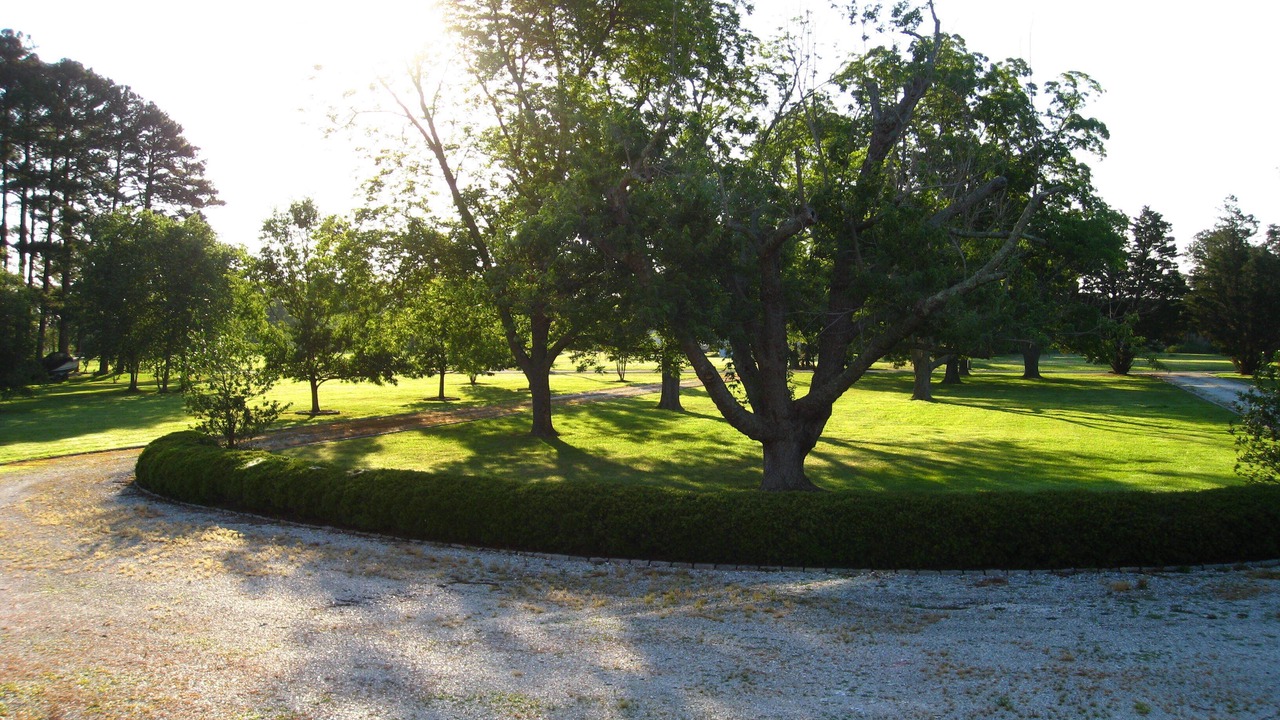 Photo of Outdoor in Onancock
