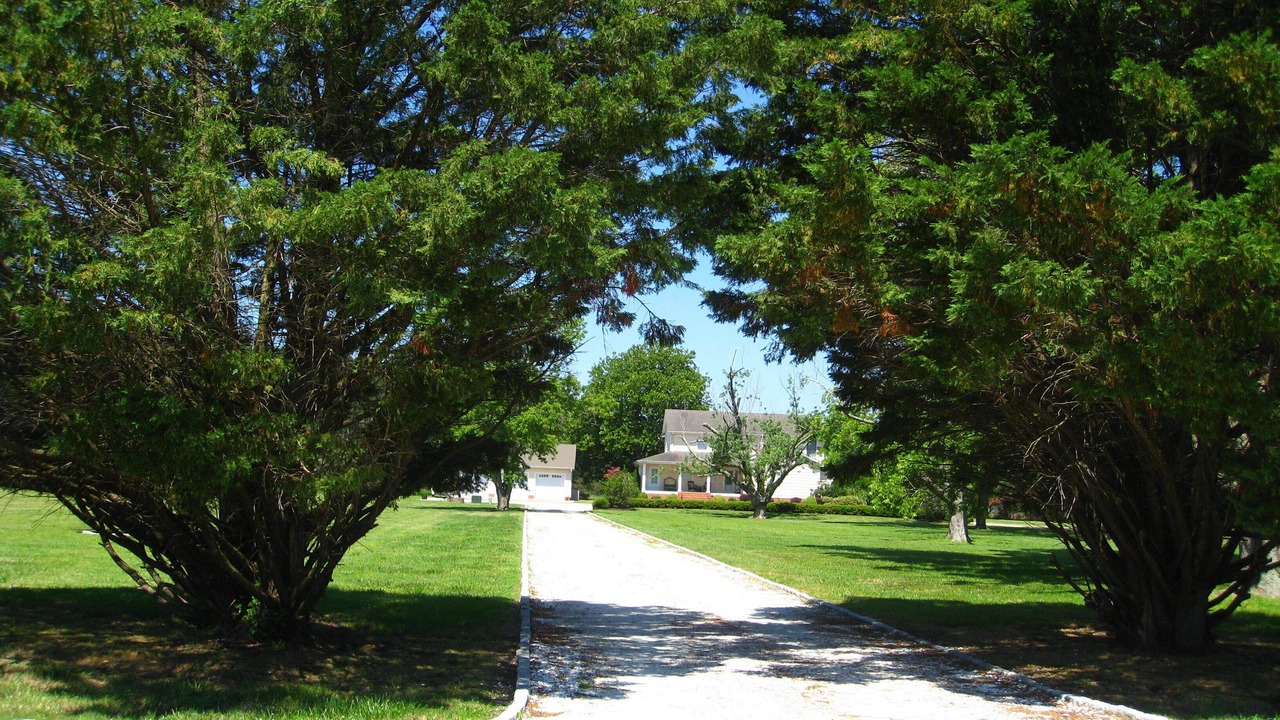 Photo of Others in Onancock