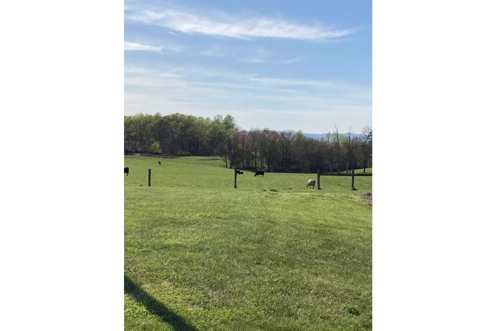 Photo of Others in Cedar Mountain