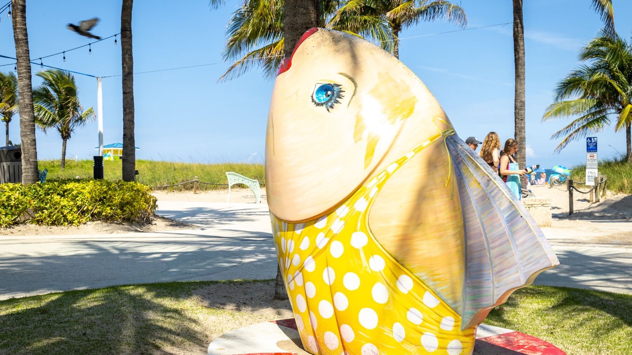 Photo of Outdoor in Santa Barbara Estates