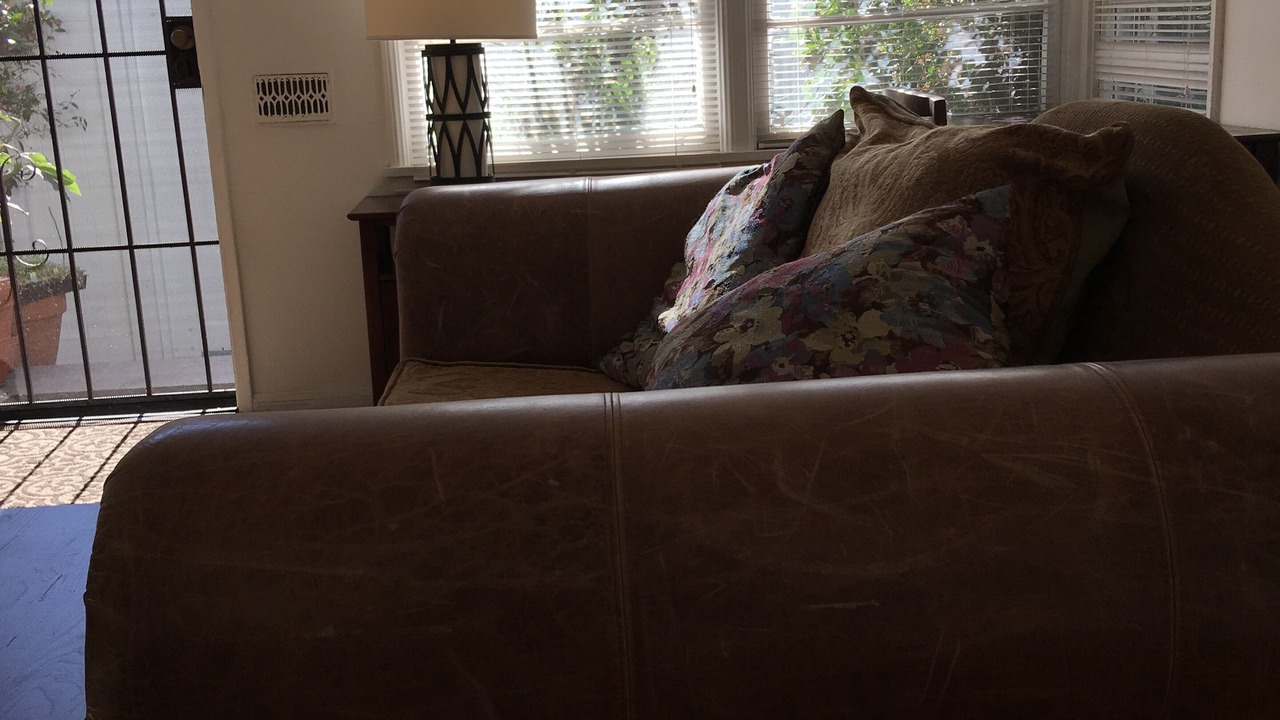 Photo of Livingroom in Faircrest Heights