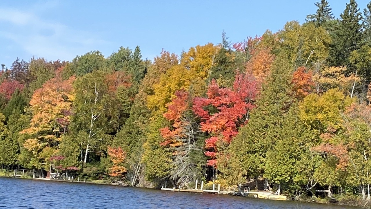 Photo of Others in Indian Lake