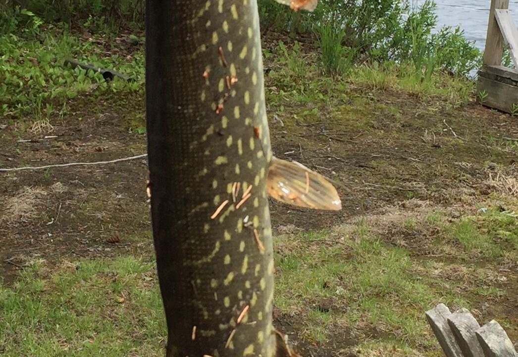 Photo of Outdoor in Indian Lake