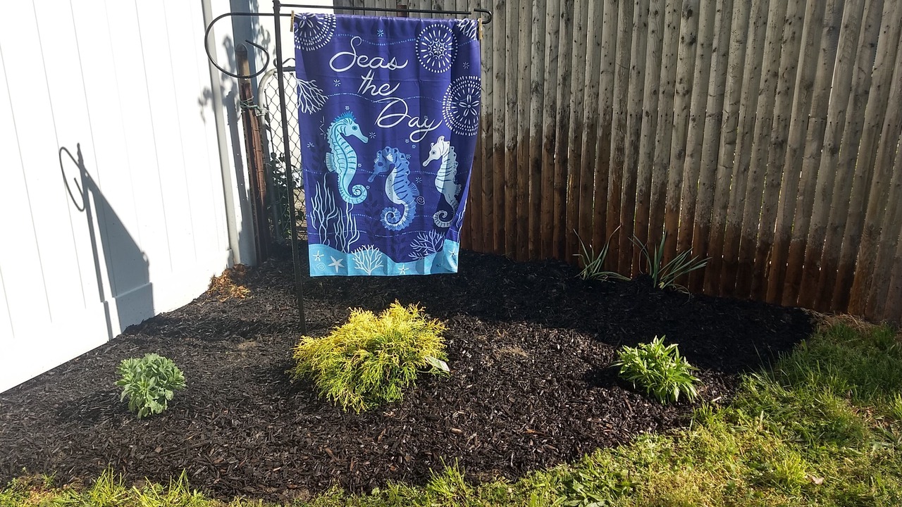 Photo of Outdoor in Villas