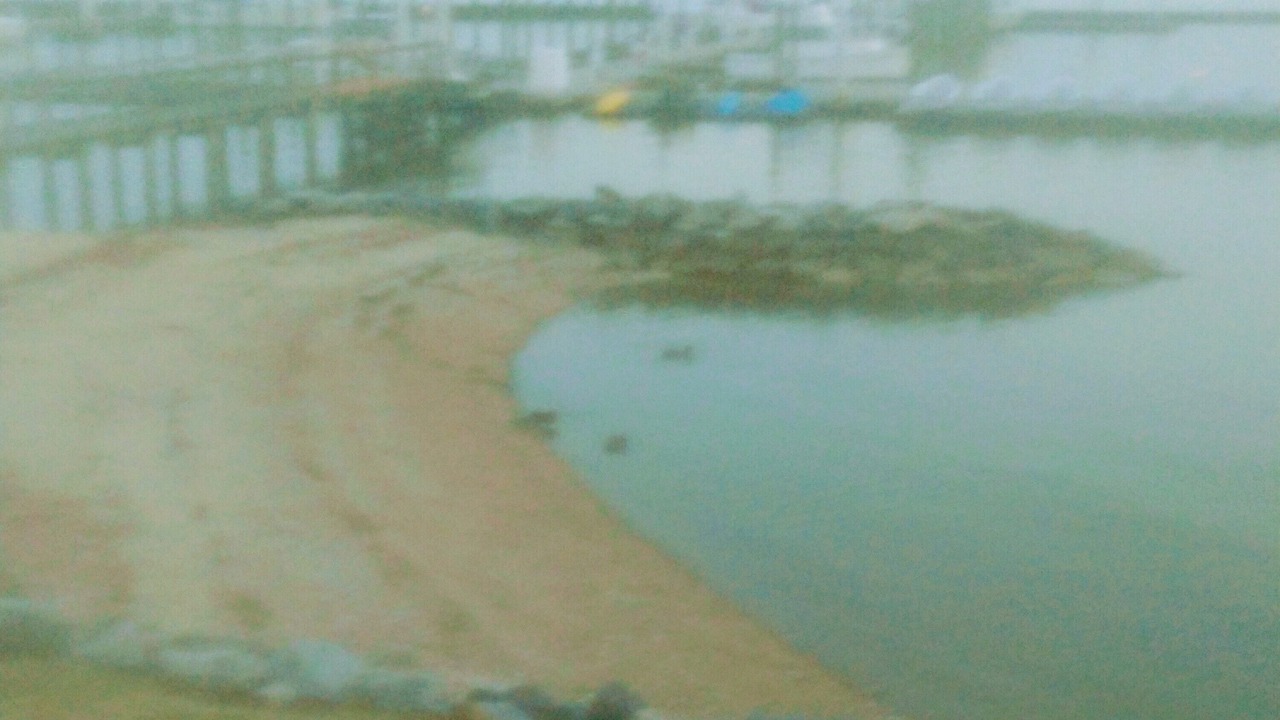 Photo of Others in Kingsmill