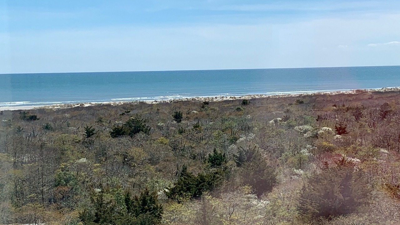 Photo of Others in Diamond Beach