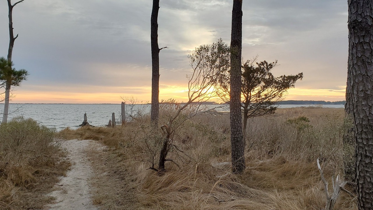 Photo of Others in Rehoboth Beach
