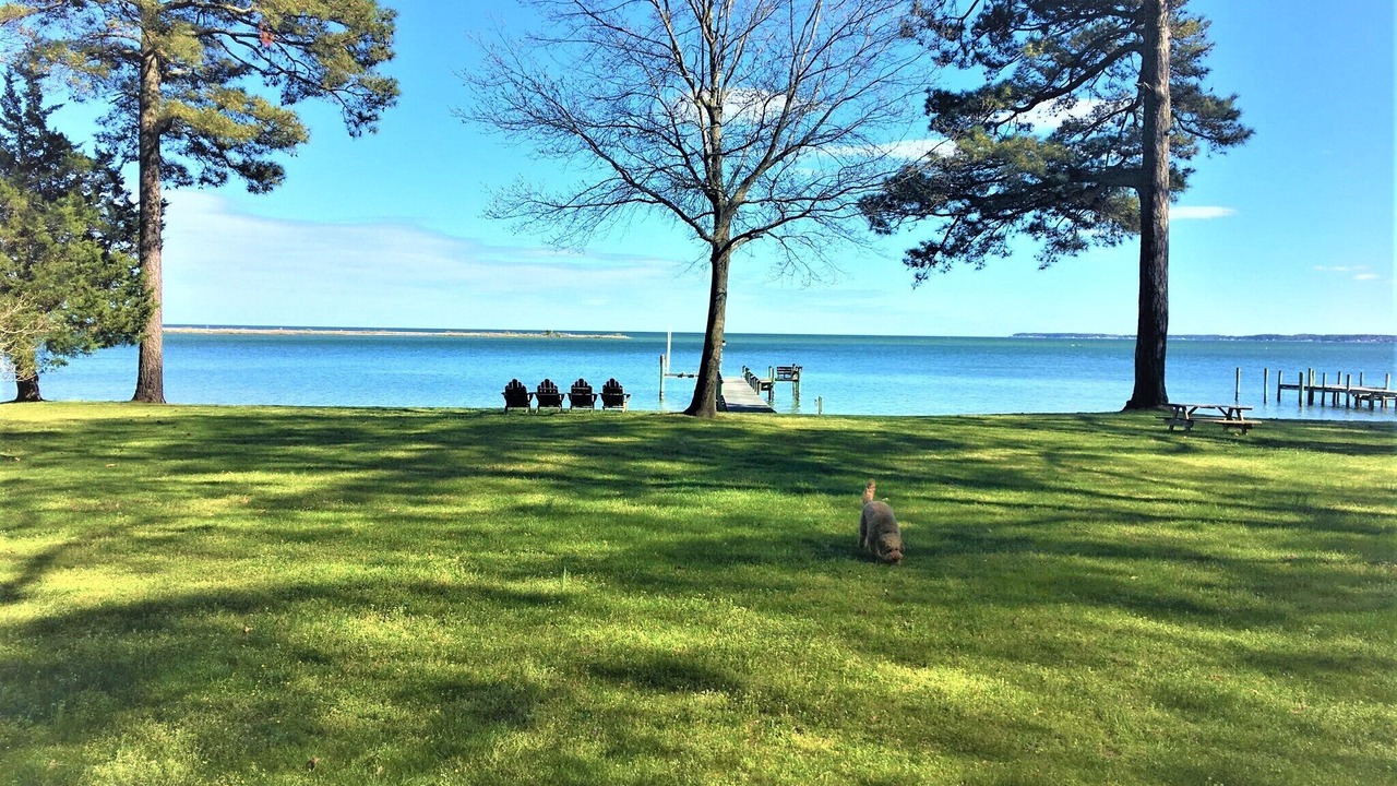 Photo of Outdoor in White Stone