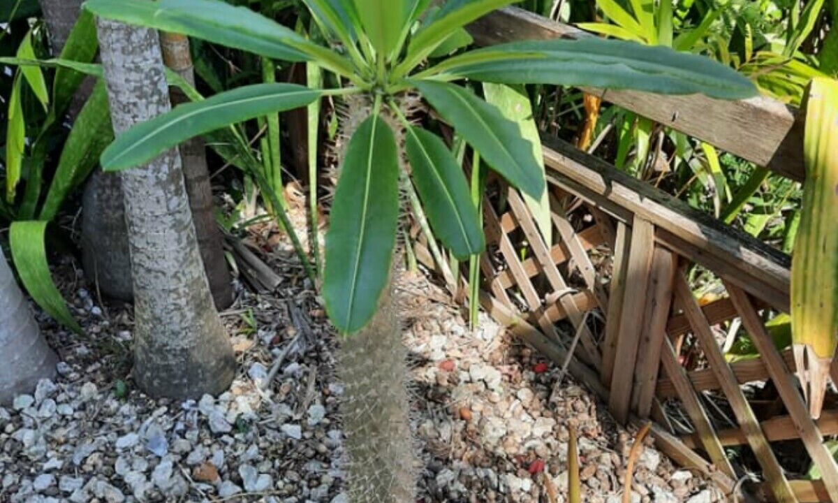 Photo of Outdoor in Coconut Grove