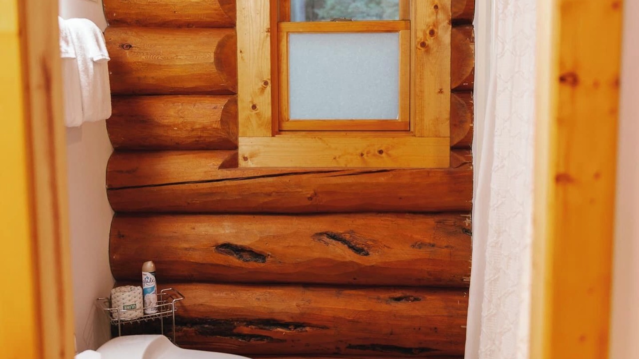 Photo of Others in West Glacier