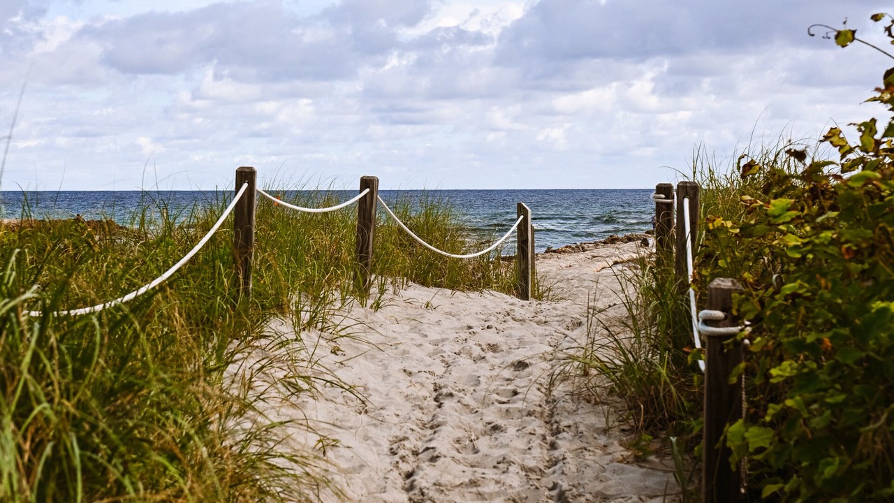Photo of Others in Hillsboro Beach