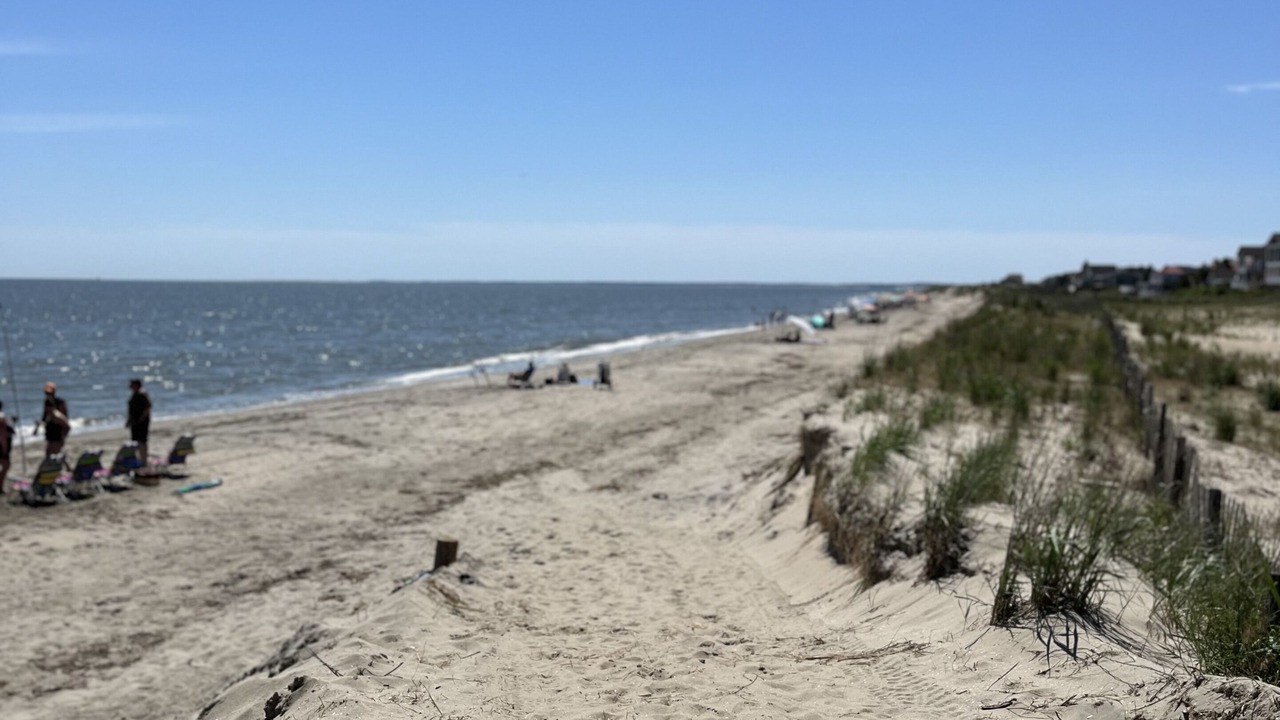 Photo of Others in Broadkill Beach